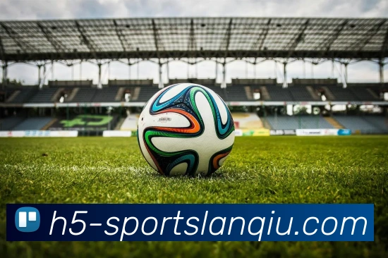 篮球赌注平台生态图